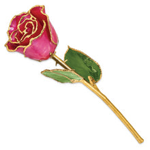 Load image into Gallery viewer, Lacquer Dipped Gold Trim Plum Fuchsia Rose
