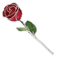 Load image into Gallery viewer, Lacquer Dipped Silver Trimmed Red Rose
