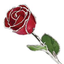 Load image into Gallery viewer, Lacquer Dipped Silver Trimmed Red Rose
