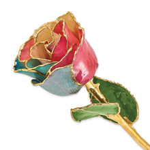 Load image into Gallery viewer, Lacquer Dipped Gold Trim Tri-color Rose
