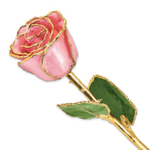 Load image into Gallery viewer, Lacquer Dipped Gold Trim Pink Pearl Rose
