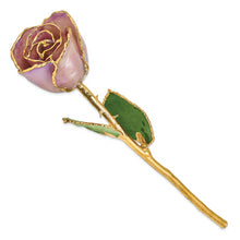 Load image into Gallery viewer, Lacquer Dipped Gold Trim Lavender Rose
