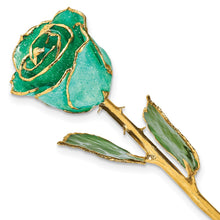 Load image into Gallery viewer, Lacquer Dipped Gold Trim with Monet Green Glitter On Green Rose
