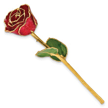 Load image into Gallery viewer, Lacquer Dipped Gold Trim with Red Glitter On Red Rose
