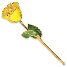 Load image into Gallery viewer, Lacquer Dipped Gold Trim with Gold Glitter On Yellow Rose
