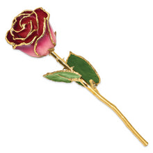 Load image into Gallery viewer, Lacquer Dipped Gold Trim Pink and Burgundy Rose

