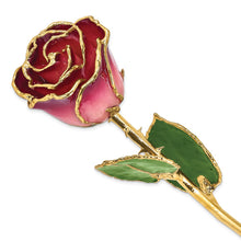 Load image into Gallery viewer, Lacquer Dipped Gold Trim Pink and Burgundy Rose
