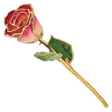 Load image into Gallery viewer, Lacquer Dipped Gold Trim White and Burgundy Rose
