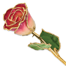 Load image into Gallery viewer, Lacquer Dipped Gold Trim White and Burgundy Rose
