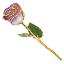 Load image into Gallery viewer, Lacquer Dipped Gold Trim White and Blue Opal Rose
