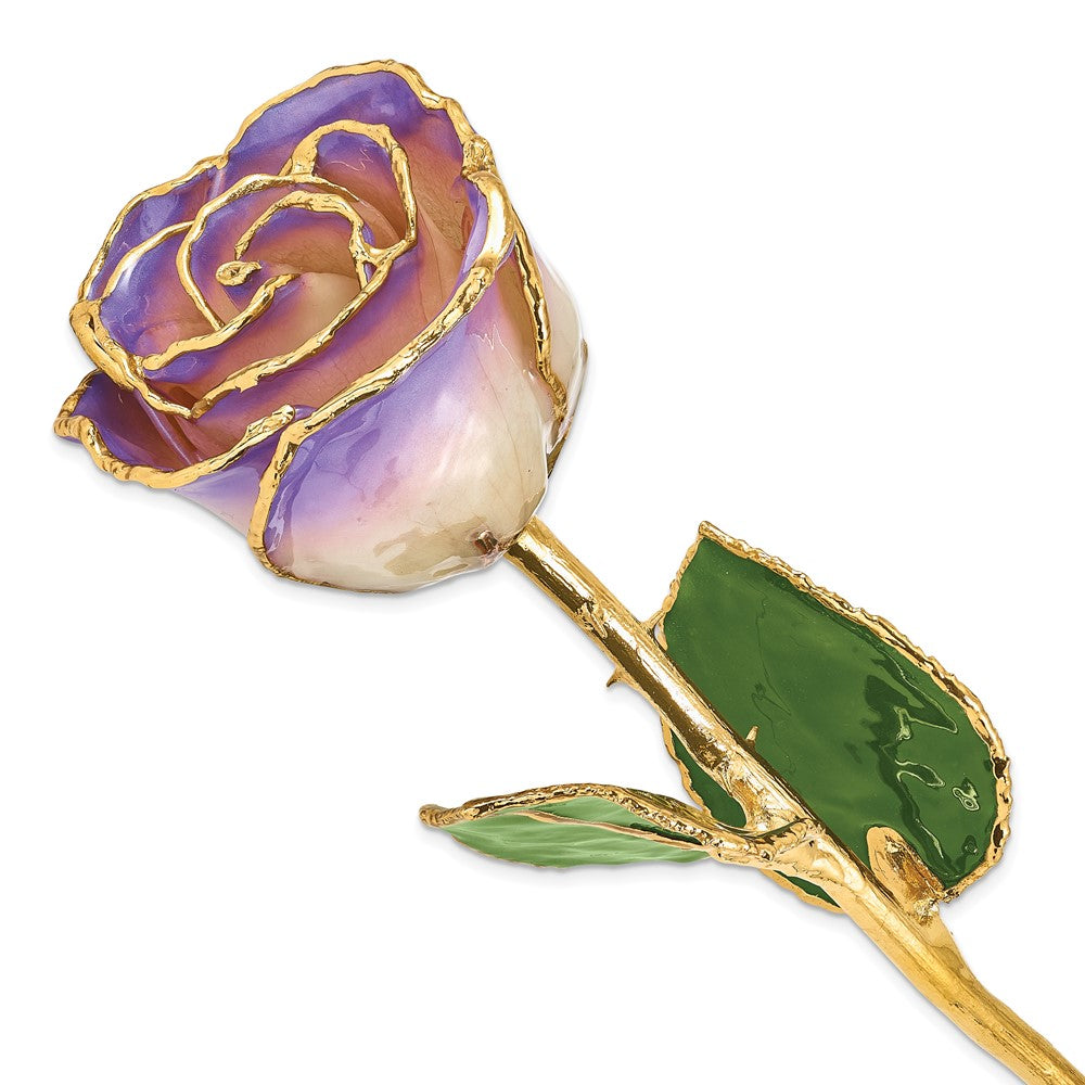 Lacquer Dipped Gold Trim White and Blue Opal Rose