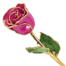 Load image into Gallery viewer, Lacquer Dipped Gold Trim Fuchsia Rose
