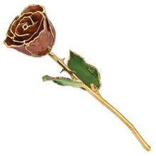 Load image into Gallery viewer, Lacquer Dipped Gold Trim Cinnamon Pearl Rose
