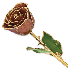 Load image into Gallery viewer, Lacquer Dipped Gold Trim Cinnamon Pearl Rose
