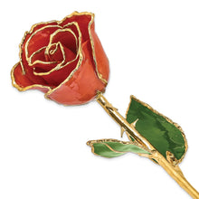 Load image into Gallery viewer, Lacquer Dipped Gold Trim Sonia Pearl Rose

