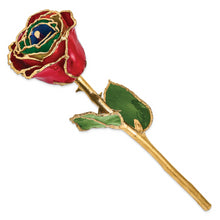 Load image into Gallery viewer, Lacquer Dipped Gold Trim Gypsy Rainbow Rose
