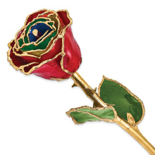 Load image into Gallery viewer, Lacquer Dipped Gold Trim Gypsy Rainbow Rose
