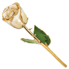 Load image into Gallery viewer, Lacquer Dipped Gold Trimmed Cream/White Rose
