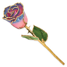 Load image into Gallery viewer, Lacquer Dipped Gold Trimmed Pink/Navy Rose
