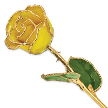 Load image into Gallery viewer, Lacquer Dipped Gold Trim Yellow Rose
