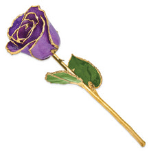 Load image into Gallery viewer, Lacquer Dipped Gold Trim Lilac Rose
