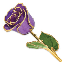 Load image into Gallery viewer, Lacquer Dipped Gold Trim Lilac Rose
