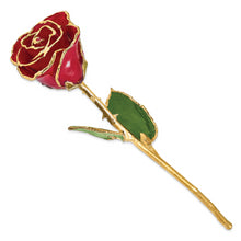 Load image into Gallery viewer, Lacquer Dipped Gold Trim Red Rose
