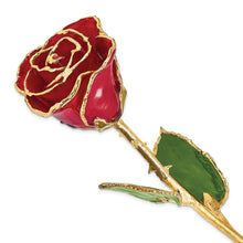 Load image into Gallery viewer, Lacquer Dipped Gold Trim Red Rose

