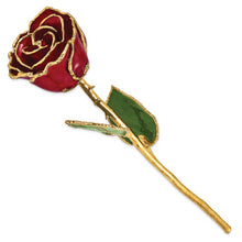 Load image into Gallery viewer, Lacquer Dipped Gold Trim Burgundy Rose
