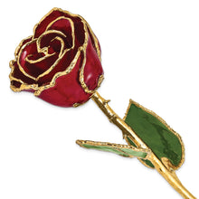 Load image into Gallery viewer, Lacquer Dipped Gold Trim Burgundy Rose

