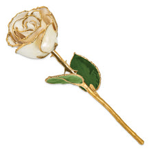 Load image into Gallery viewer, Lacquer Dipped Gold Trim White Satin Rose
