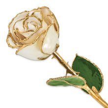 Load image into Gallery viewer, Lacquer Dipped Gold Trim White Satin Rose
