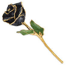 Load image into Gallery viewer, Lacquer Dipped Gold Trim Black Rose
