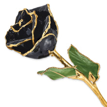 Load image into Gallery viewer, Lacquer Dipped Gold Trim Black Rose
