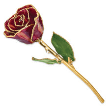 Load image into Gallery viewer, Lacquer Dipped Gold Trim Abracadabra Rose

