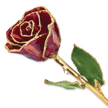 Load image into Gallery viewer, Lacquer Dipped Gold Trim Abracadabra Rose
