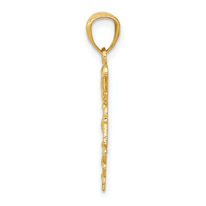14k Diamond-cut Polished RN Nurse Pendant