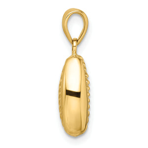 14k Polished 3-D Cowrie Shell Pendant