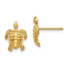 Load image into Gallery viewer, 14k Sea Turtle Post Earrings
